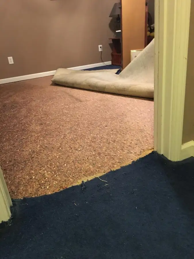 Carpet pad removal revealing water damage during Water Mitigation Services in Des Peres