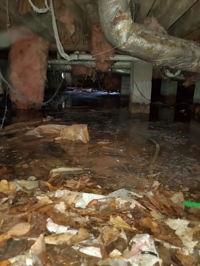 Crawl space flood assessment for Leak Detection & Repair in Des Peres