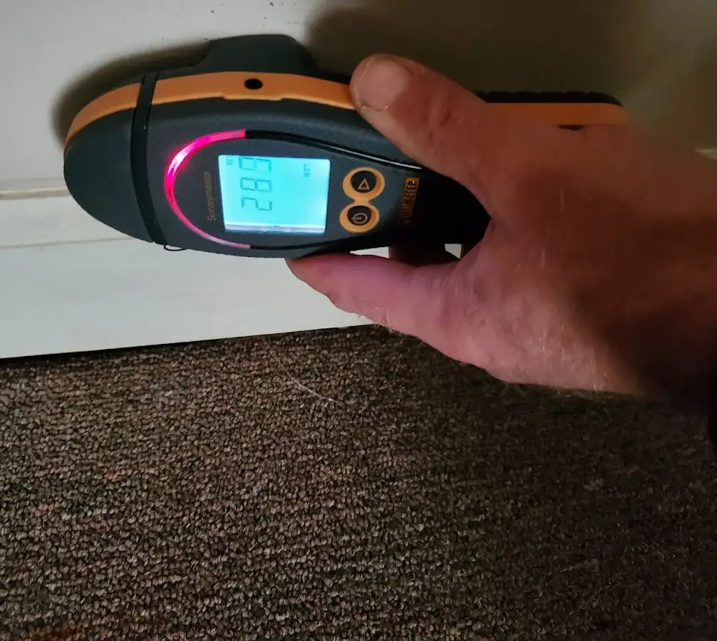 Moisture detection at baseboard during Burst Pipe Cleanup in Des Peres